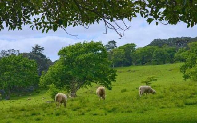 41 Haydn Ave Royal Oak Holiday Home