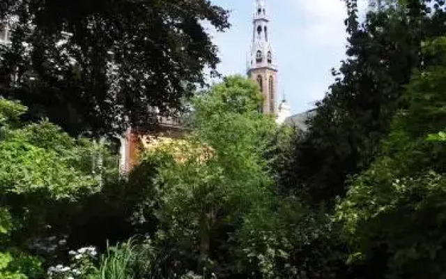 The Beech Tree Bed and Breakfast