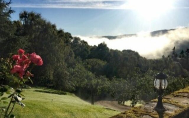 Highland Bear Lodge & Luxury Bear Huts