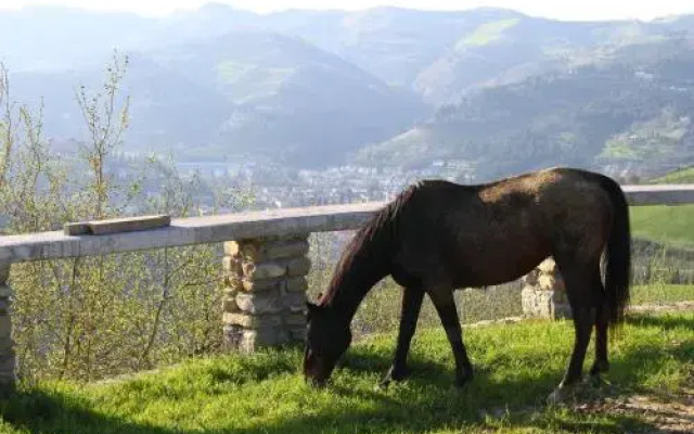 Agriturismo Re Piano