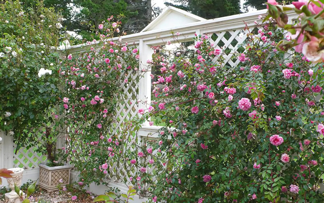 The Stablehand Quarters at Gunyah