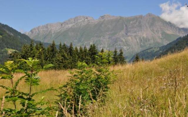 Résidence LEdelweiss Planay