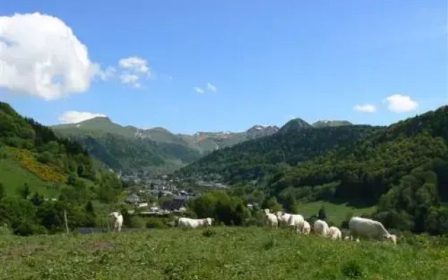 Hotel Le Progrés Dorlotel