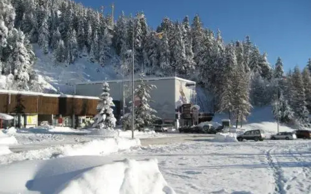 Chalet Xenia