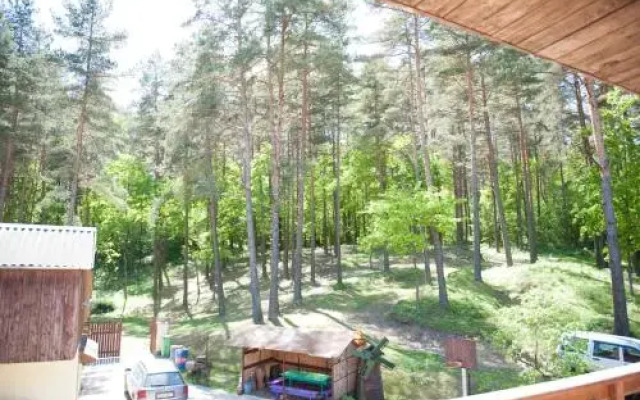 Guest House na Opushke