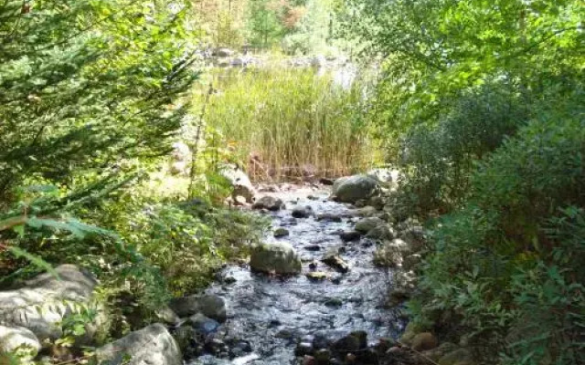 Le Plateau By Rendez-Vous Mont-Tremblant