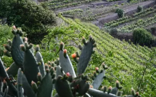 Haciendas del Valle - Casa San Miguel