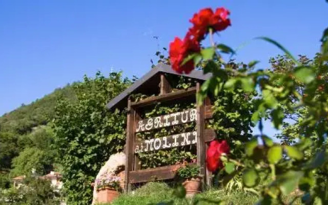 B&B Casa Zeni