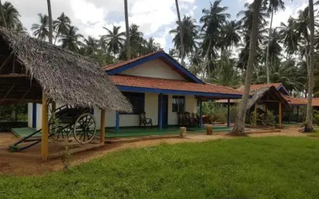 Blue and Green Resort