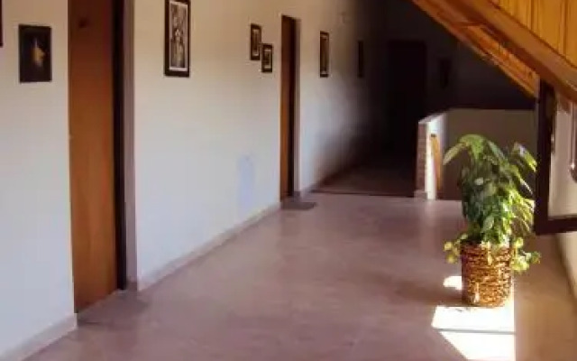 Peninsula De Los Coihues