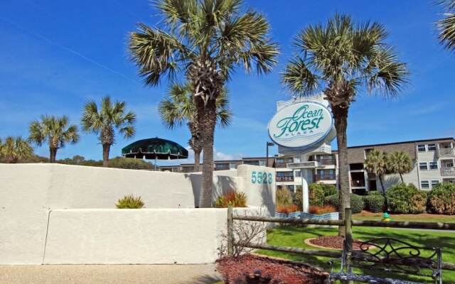 Ocean Forest 1909 - Ocean Front