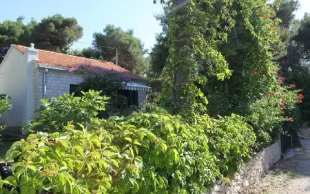 Holiday Home Dragan