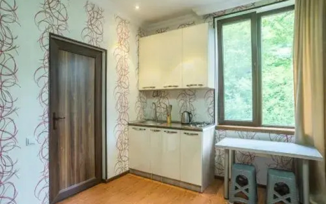 Guest House Borjomi