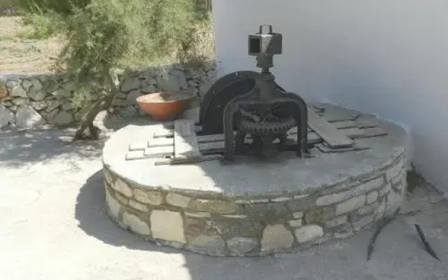 Tolakis Studios