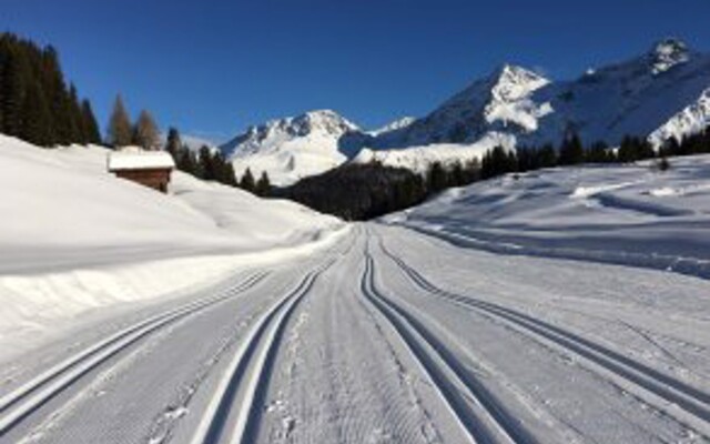 Chamanna Bed & Breakfast Arosa