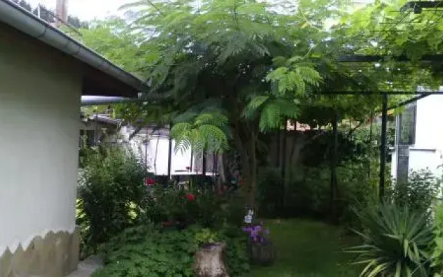 Nenkovi Guest house