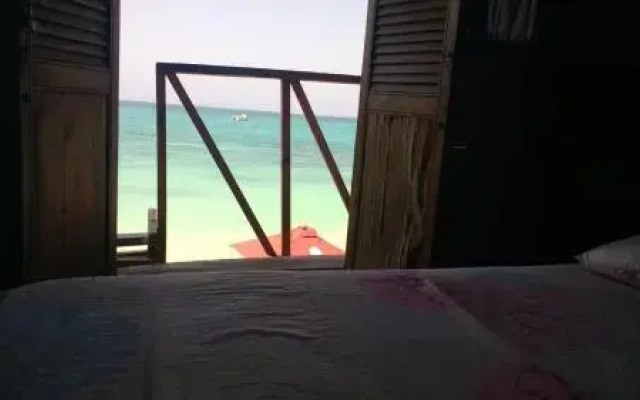 EcoHotel Hector
