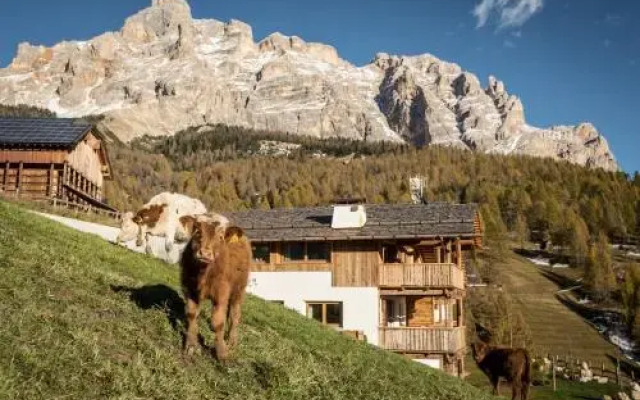 Appartements Chalet Bandiarac