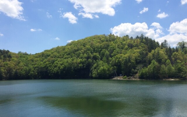 Wolf Creek Lake Cabin- Pineview