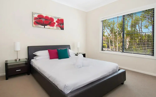 Pandanus - Lennox Head