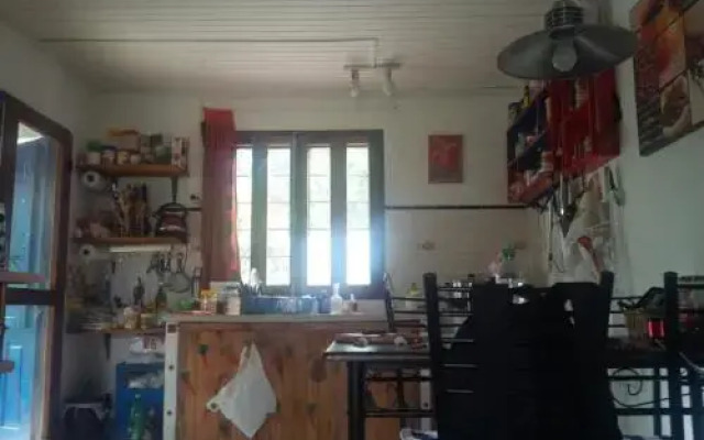 Las Palmeras