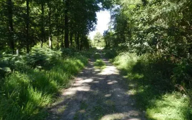 B&B Le Bois de Champia