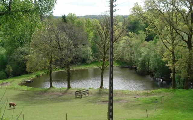 Les Etangs de Pitié