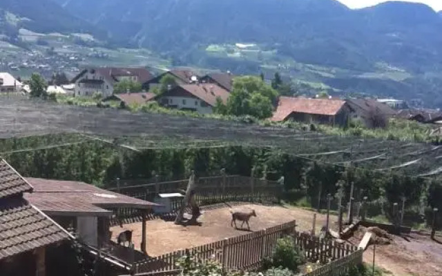 Berggütl