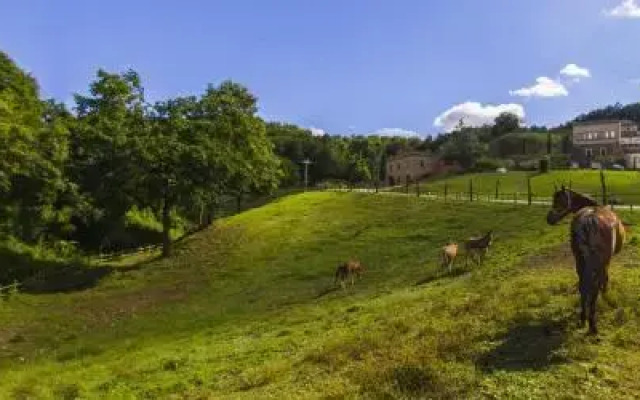 Agriturismo Rio Coverino
