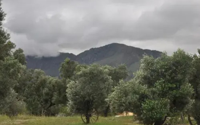 Cabañas del Quijote