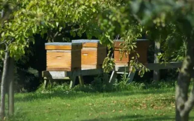 Lough Bishop House Farm stay