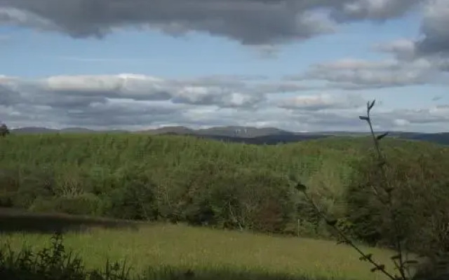 Pine View Self Catering Holiday Home