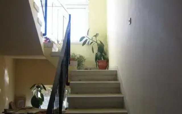 Lary Hostel