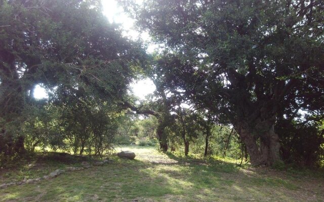 Cabanas Monte Capilla