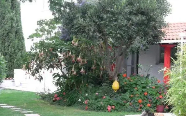 Villa Yiannis (Adult Friendly)