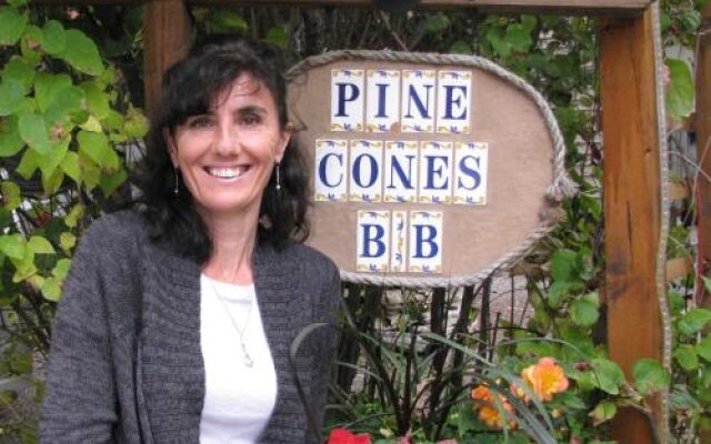 Pine Cones BB