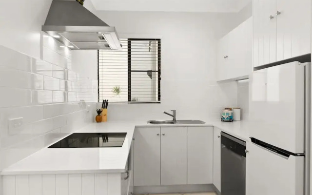 Turtle Dreaming in Palm Cove