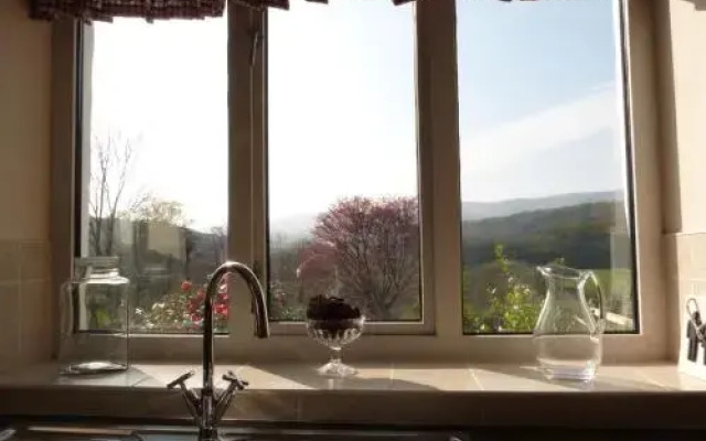 Plas Rhiwlas