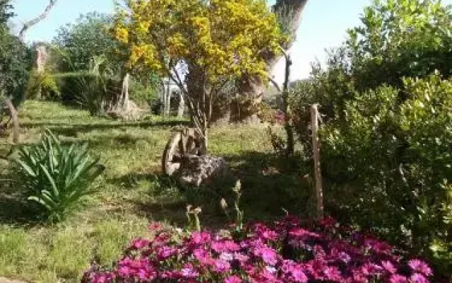 Agriturismo Su Recreu