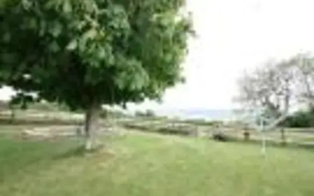 Apple Tree House