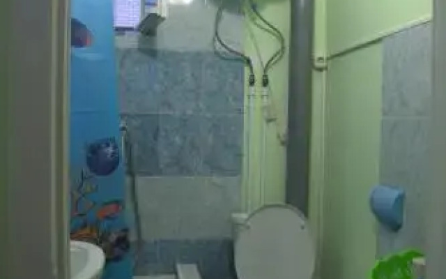 Guest House on Mayakovskogo