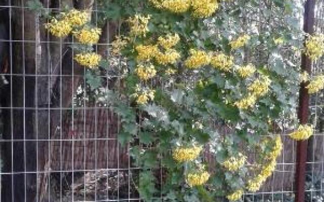 Residencial Aquelarre