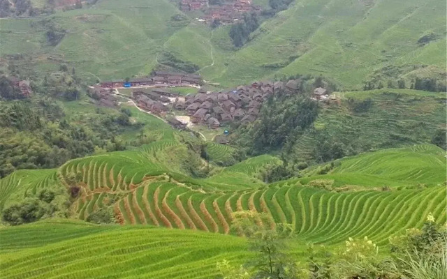 Longji Jinkeng Titian Inn