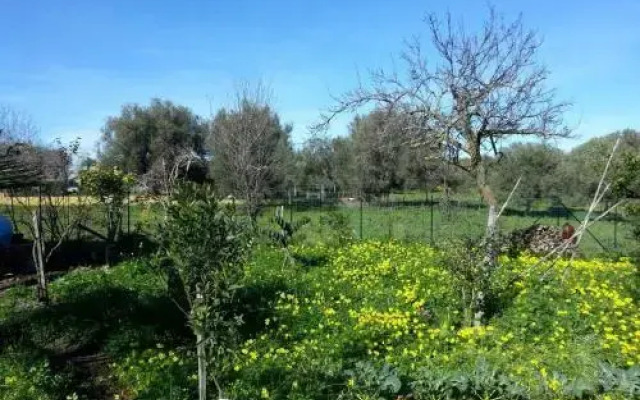 Antico Frutteto