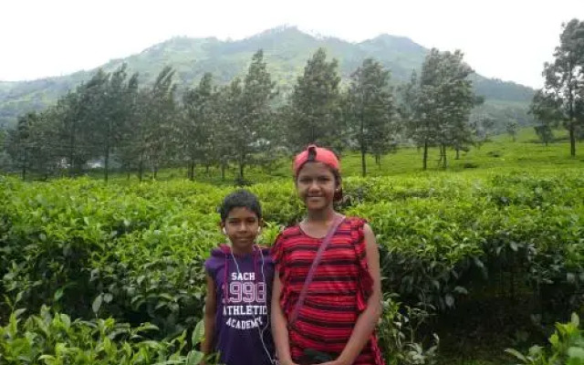 CRIS Home Stay Cochin