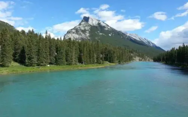 Banff Bear Bed And Breakfast