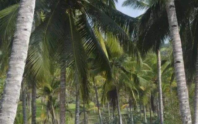 Kaveri Tourist Home