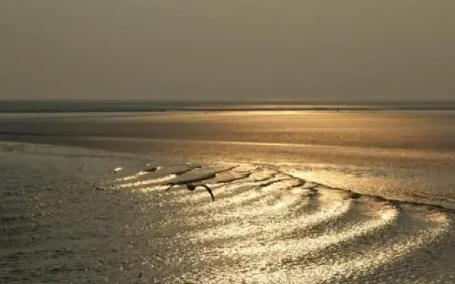 Dune Bep