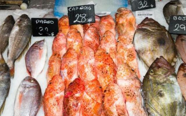 Villa Ses Cases Noves