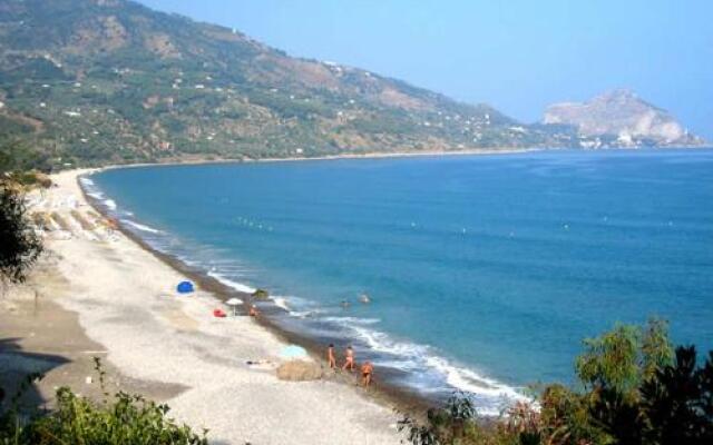 SUGHERA